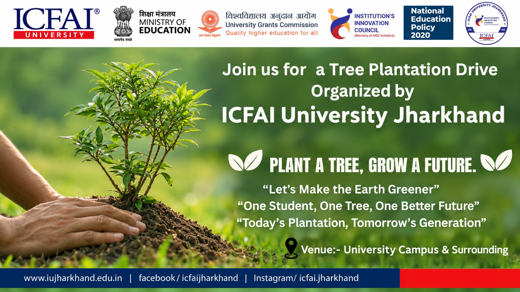 Tree Plantation Drive
